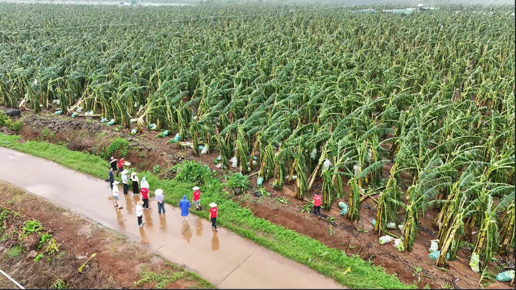 2024年广东保险业助力高质量发展案例展示