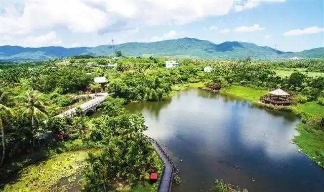 CBD建设、美丽乡村！原来大企业最关注三亚这两个领域