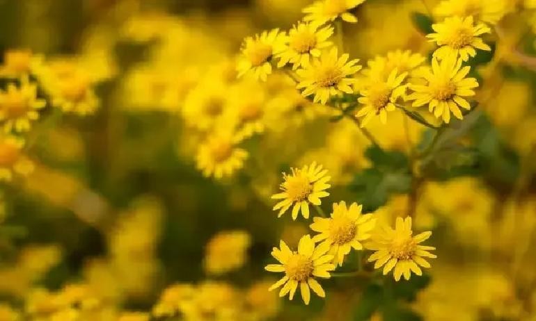 中国建筑601668估值多少钱买入比较合理（长线投资思维模型）