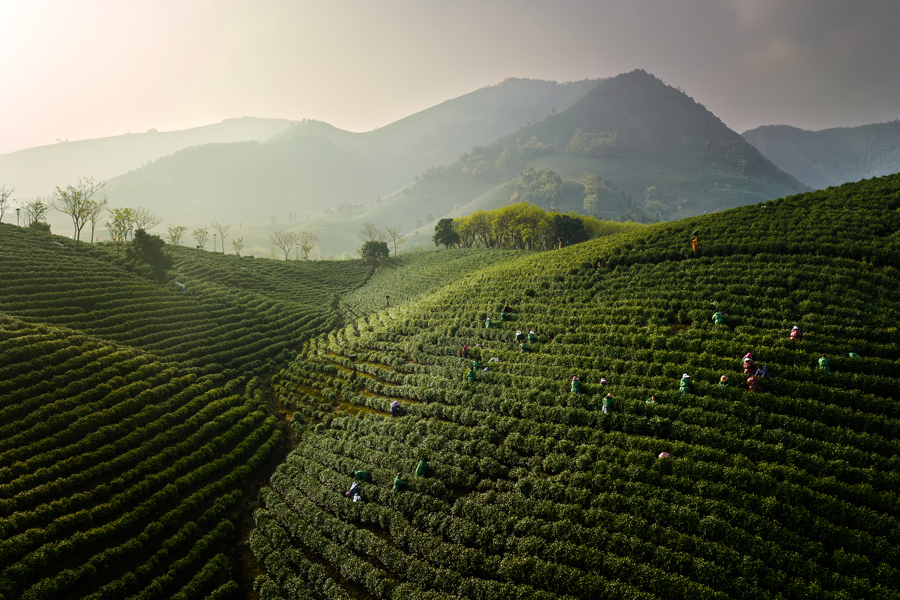 安吉获评全国首批美丽乡村先行区 为全省唯一