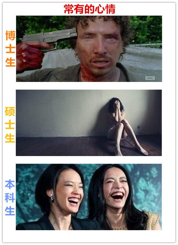 看这14张图，就能懂得博士、硕士和本科生的区别