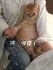 写文章能赚钱吗？写好了文章想投稿应该投哪里？