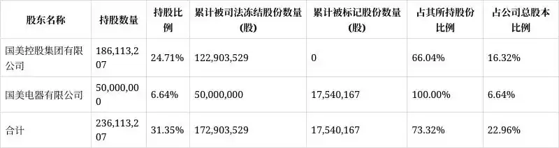 中关村控股股东一致行动人国美电器1606.8万股股份被轮候冻结 累计冻结比例达100%