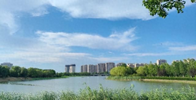 金山不再是上海的远郊，而是长三角的“湾区内核”