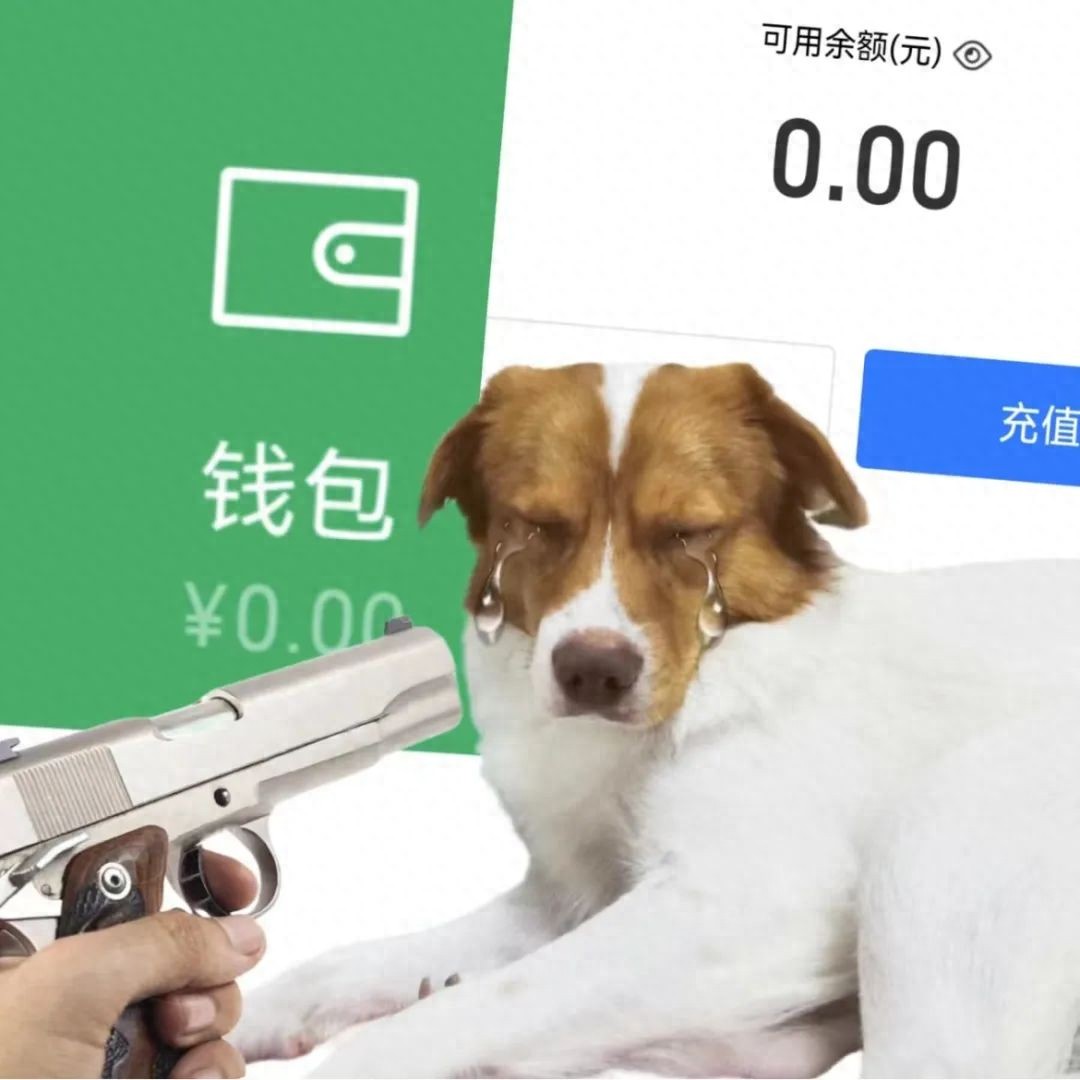 “发一篇论文，吃半年土……”