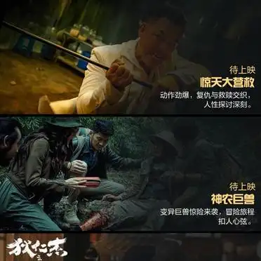 中国最新动作电影精选推荐