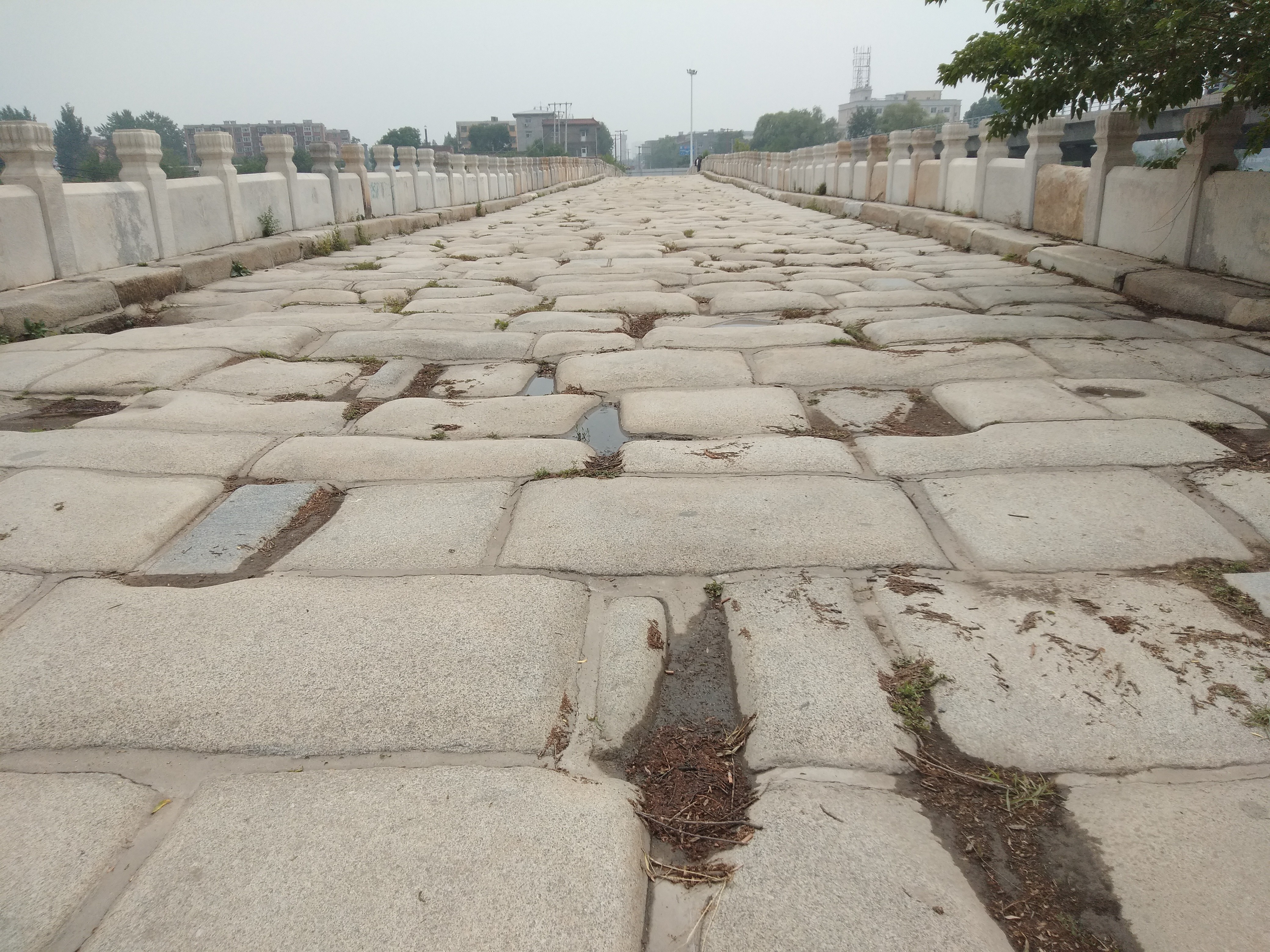 范成大——万里孤臣致命秋