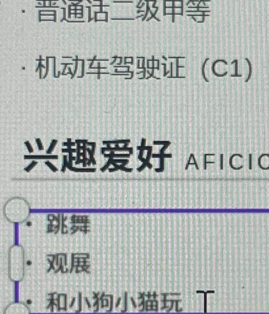 “整张简历只有照片能看”，02年女生皮包简历火了，文字不能细看