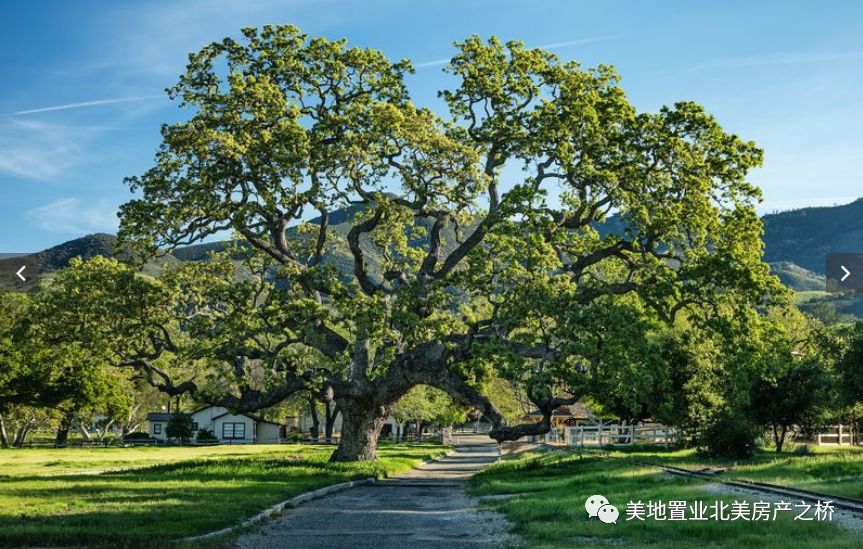 刚刚!迈克尔杰克逊加州梦幻庄园大降价出售,美照首次曝光你也能出个价！