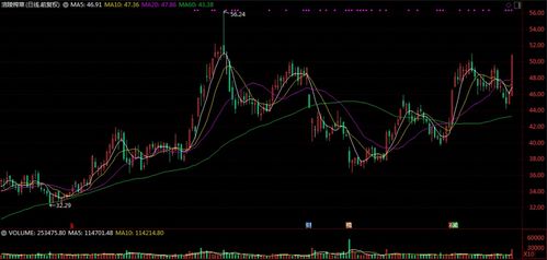 如何用图画表现股票