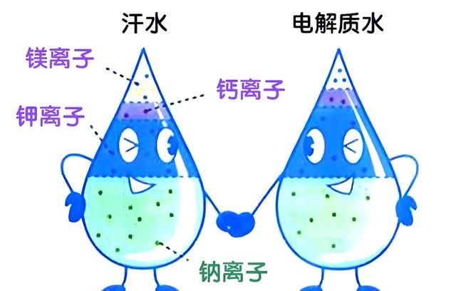 【汤医科普】聊聊“电解质水”