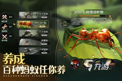 十大经典蚂蚁游戏有哪些 2025必玩的蚂蚁手游下载排行榜