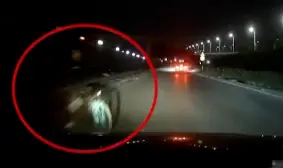 警惕！近期高发！