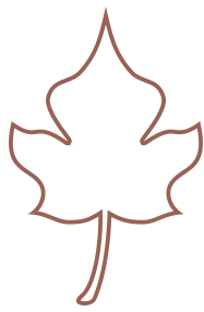 喇叭扩音丨掌握VPN 畅览校园网！