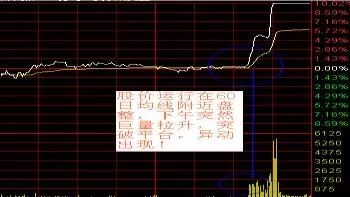 老股民手把手教你T+0分时买卖绝技,买卖不再迷茫