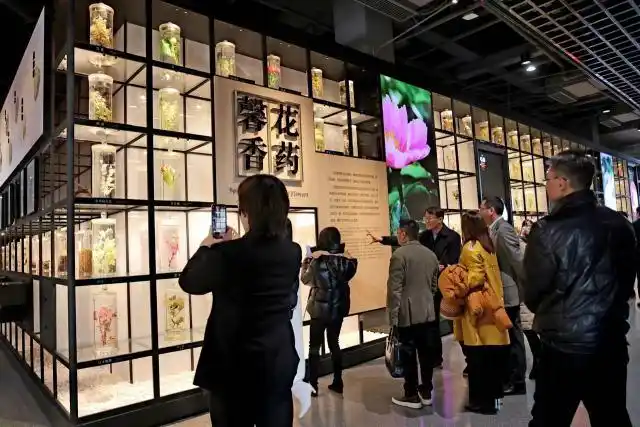 杭商活动丨多位专家与杭商企业家共话中医药与健康养生