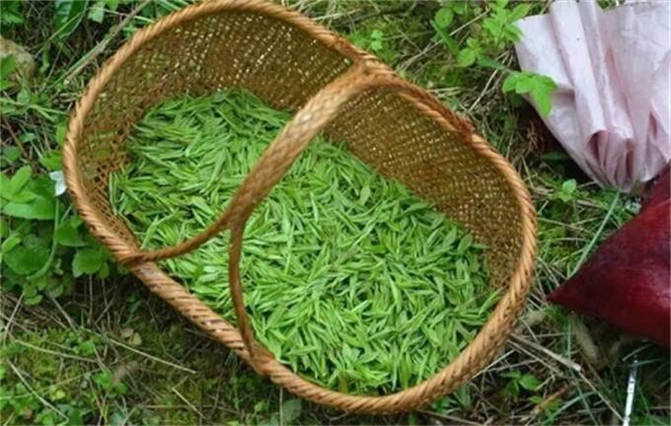 来宁国森林人家农家乐采摘,这些东西大多都没见过,你们采过几种?