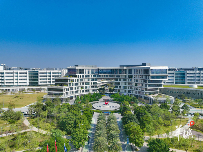 同比增长超30%！广州南沙人工智能产业营收突破性增长