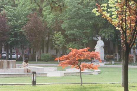 来源：澎湃新闻·澎湃号·政务