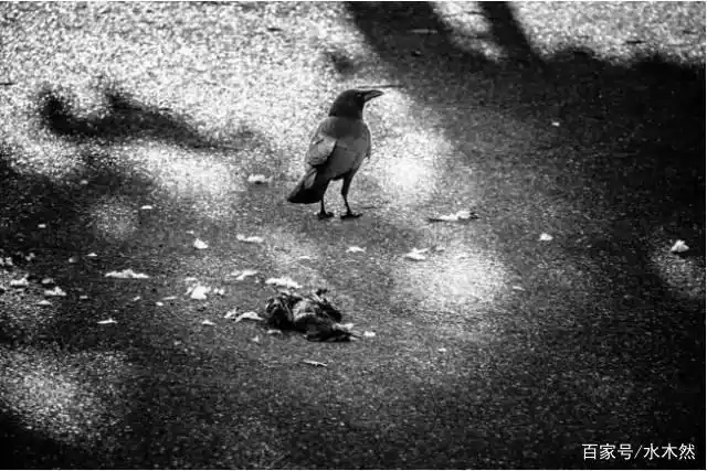 生意人需要看懂的10个小故事！