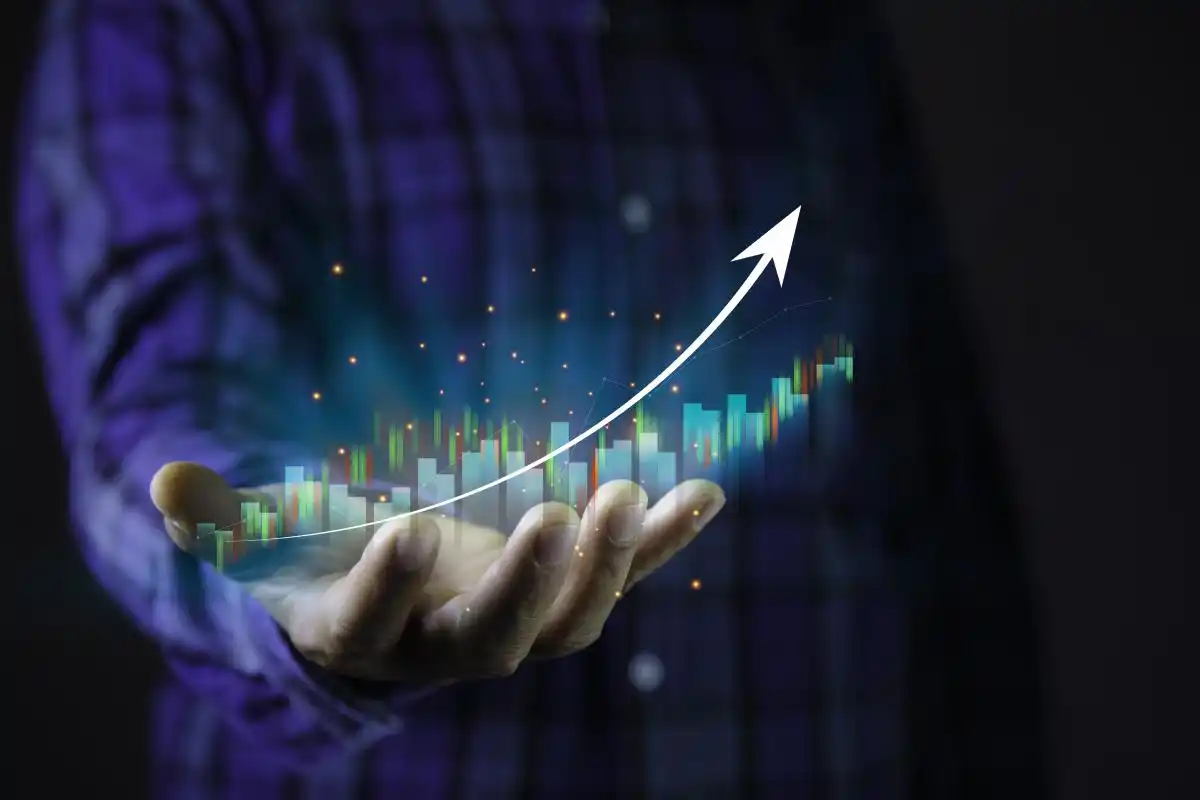 股票为什么停牌怎么办