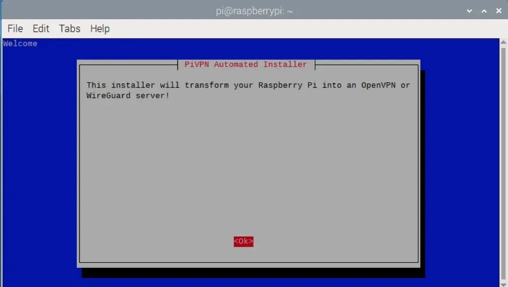 树莓派 VPN 服务器搭建指南（2025版）：守护您的在线隐私！