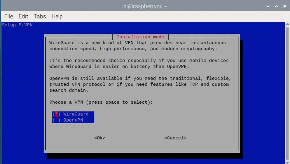 树莓派 VPN 服务器搭建指南（2025版）：守护您的在线隐私！