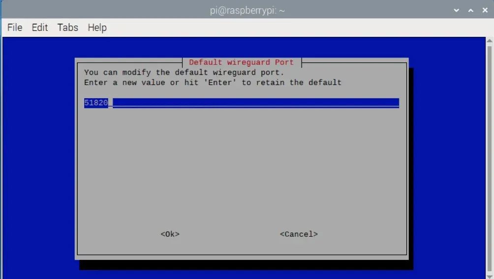 树莓派 VPN 服务器搭建指南（2025版）：守护您的在线隐私！