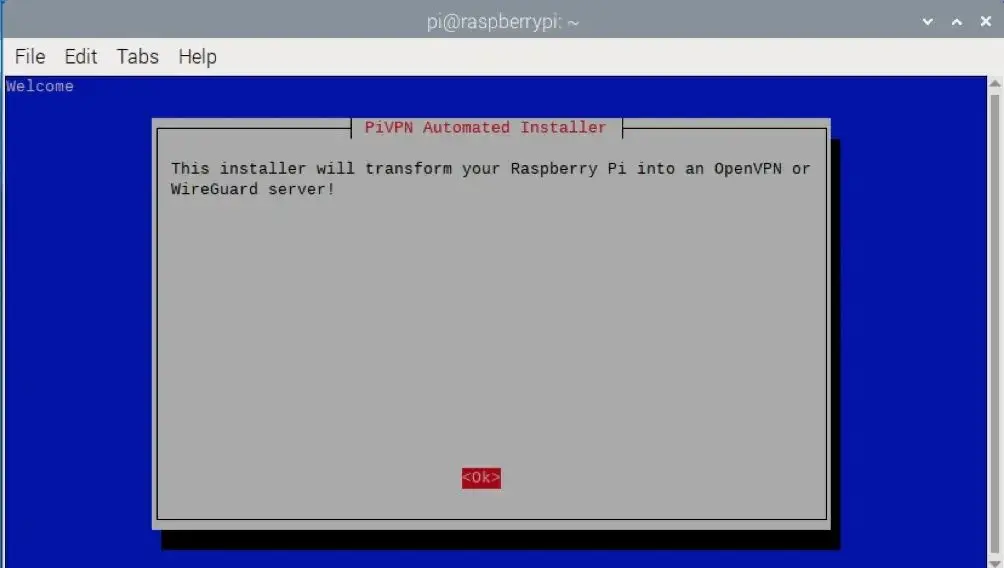 树莓派 VPN 服务器搭建指南（2025版）：守护您的在线隐私！