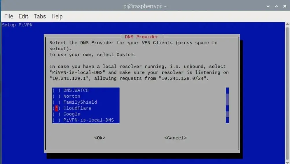 树莓派 VPN 服务器搭建指南（2025版）：守护您的在线隐私！