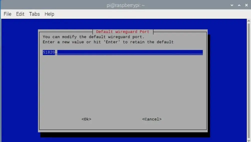 树莓派 VPN 服务器搭建指南（2025版）：守护您的在线隐私！
