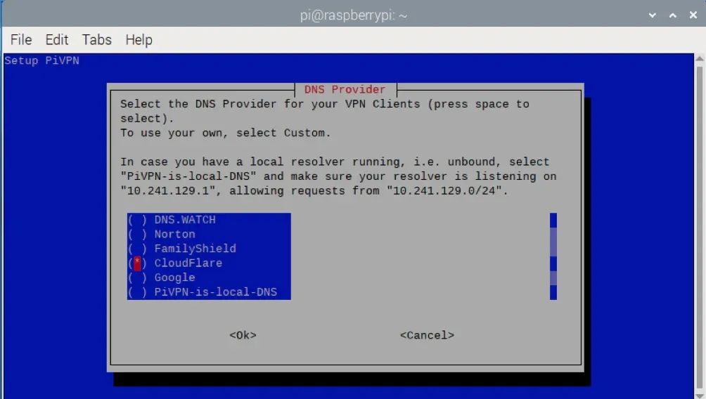 树莓派 VPN 服务器搭建指南（2025版）：守护您的在线隐私！