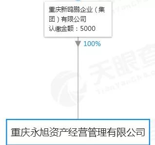 重庆某著名烂尾楼重组案,新鸥鹏曾涉其中?