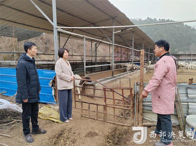 商洛市商州区麻街镇：羊圈里共谋“致富经”