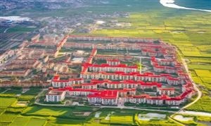 造纸产业规划专项研究分析