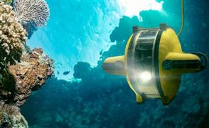 造纸产业规划专项研究分析