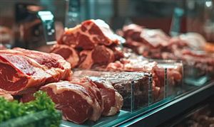 造纸产业规划专项研究分析