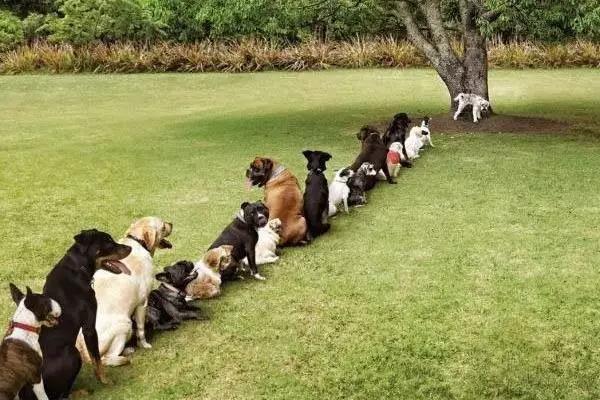 拿着导航都找不到的店，为何用买单宝就人气爆棚？