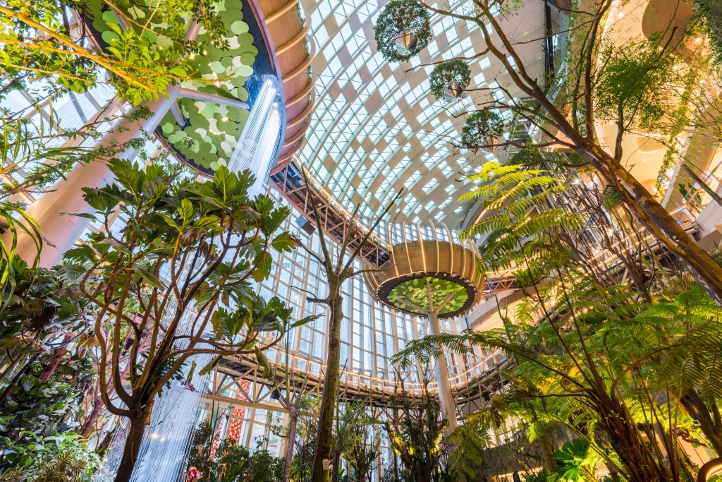 购物空间“绿意盎然” 2022年重庆再创建10家绿色商场