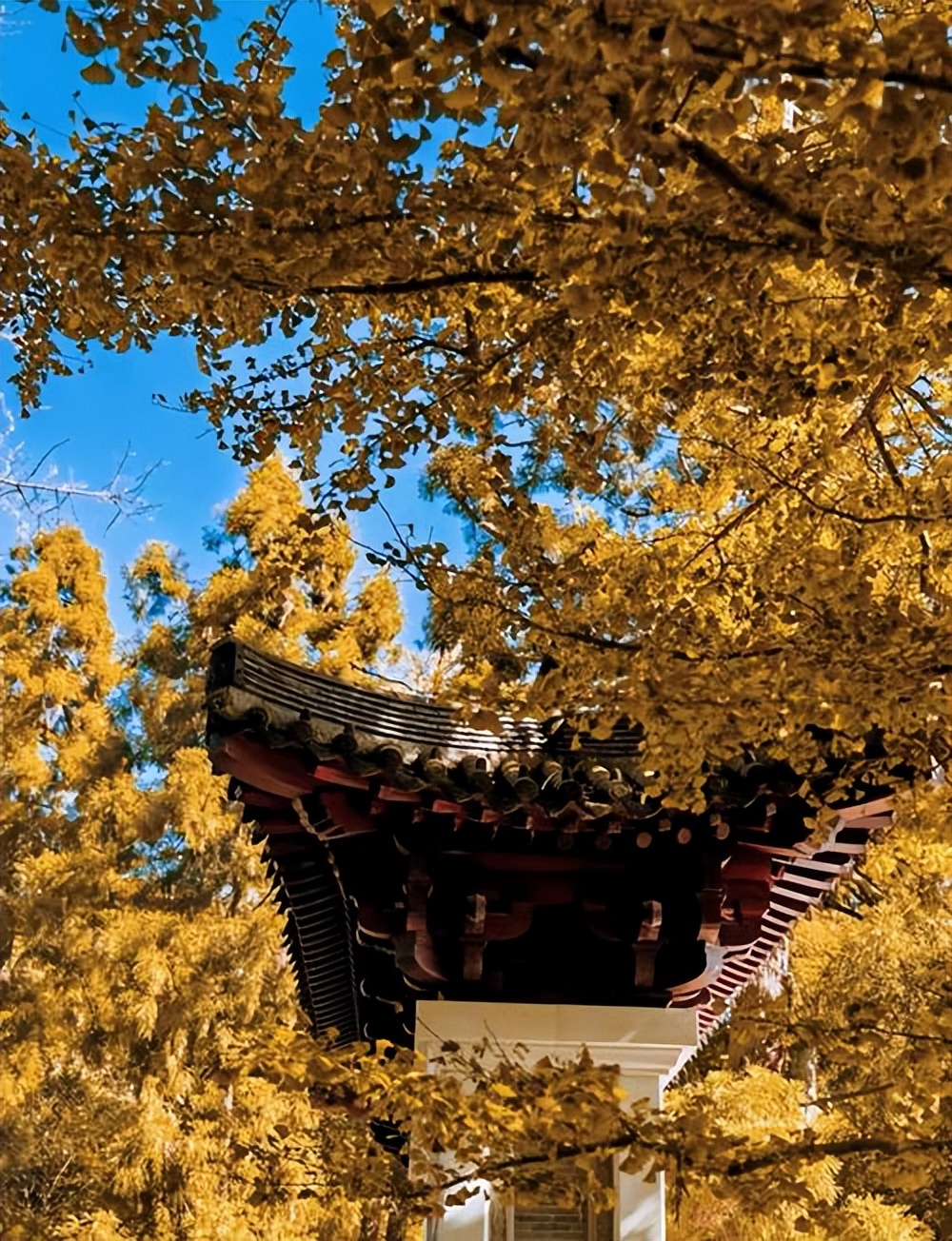 最值得去的十个乡村【浙江】你去过几个！（假期收藏）