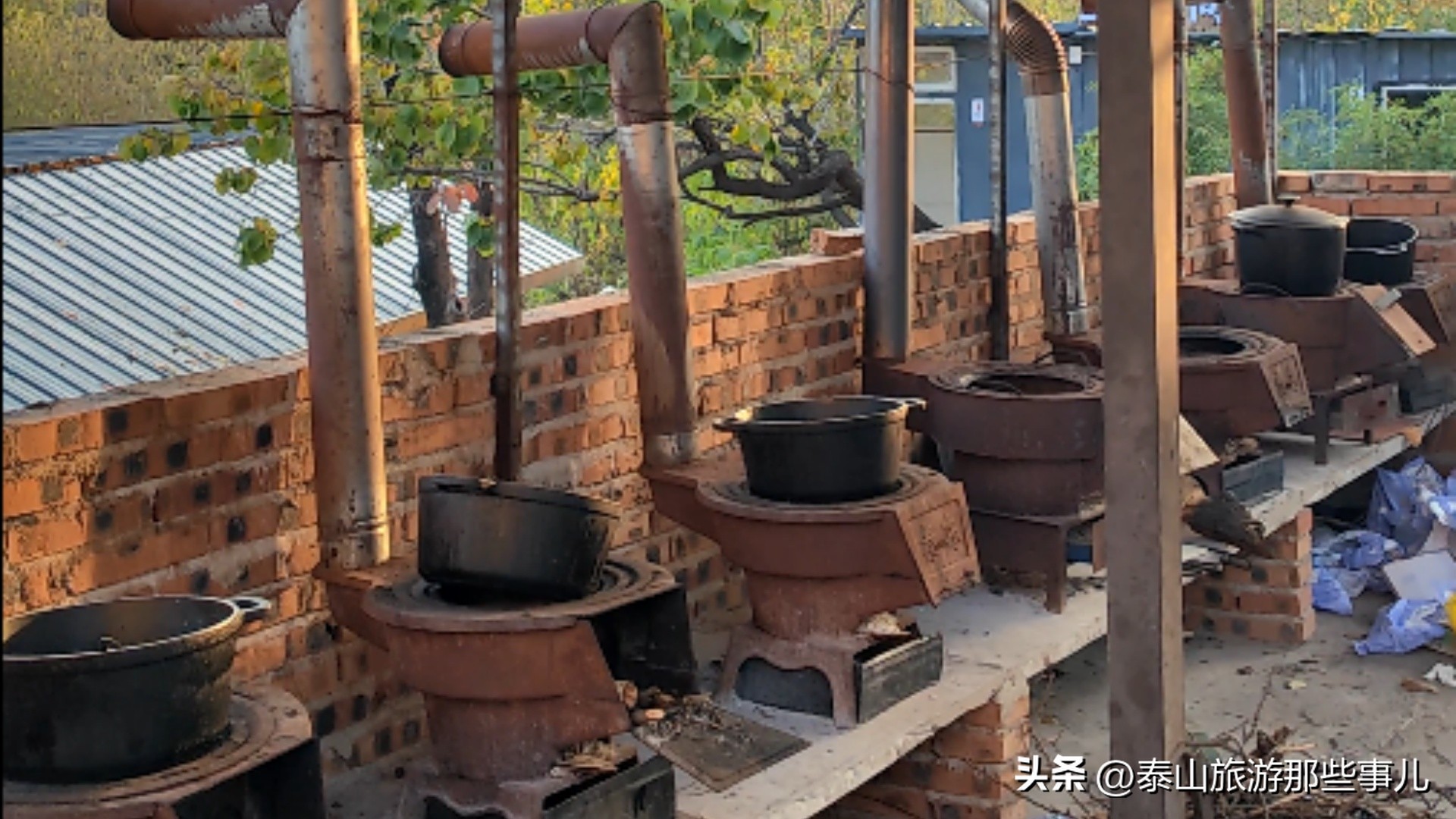 泰安：城东环山路北藏着一个农家乐，竹林蹊径，碧水环绕