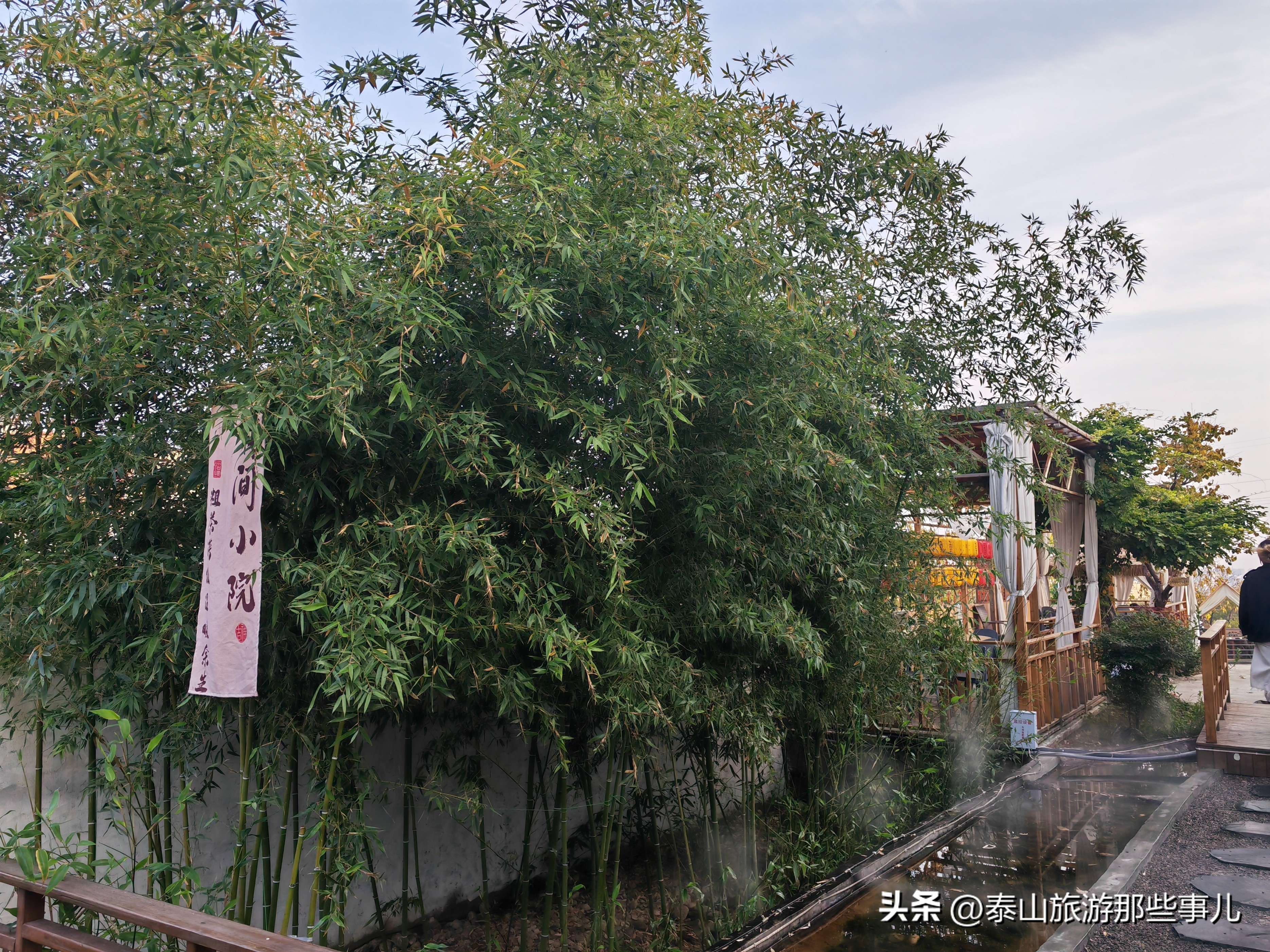 泰安：城东环山路北藏着一个农家乐，竹林蹊径，碧水环绕