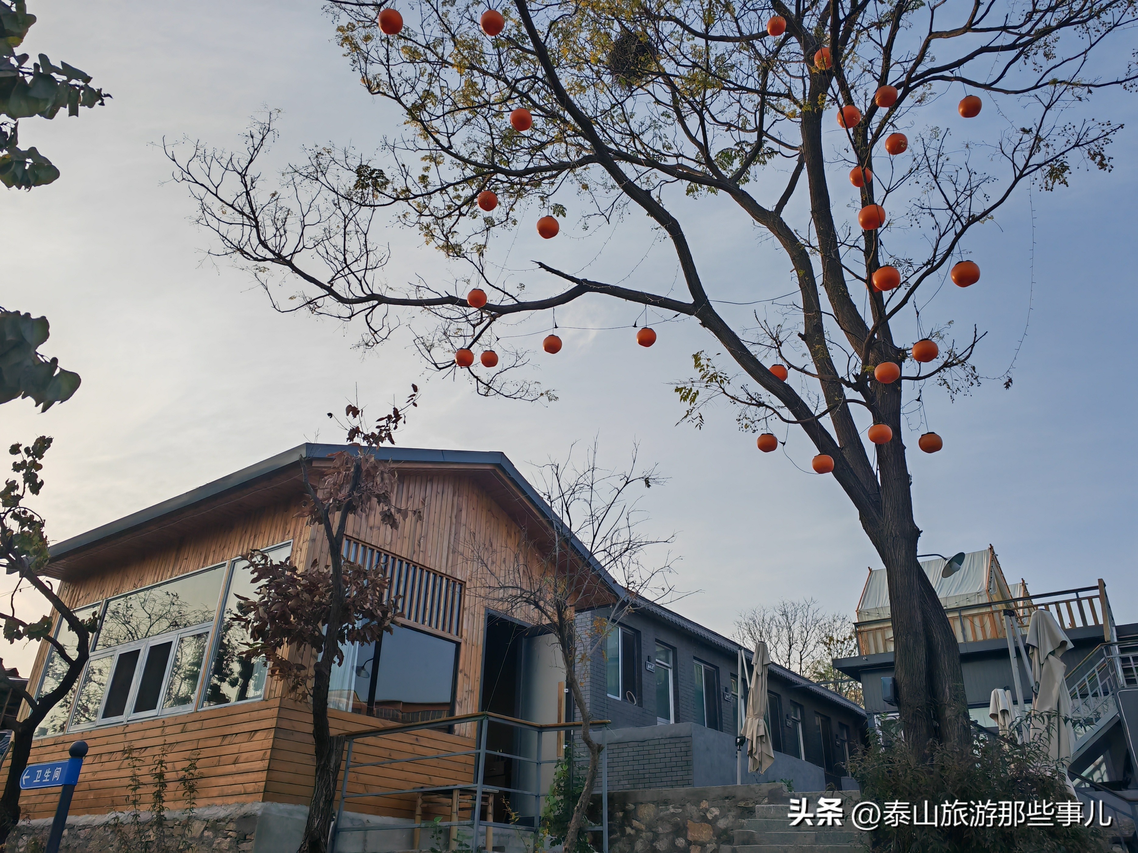 泰安：城东环山路北藏着一个农家乐，竹林蹊径，碧水环绕