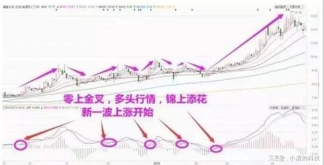 “MACD”最全详解，在大涨前就入场！告诉你别错过一定要收藏！！