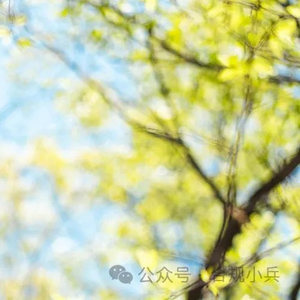 场外配资出借账户模式的核查方法（附：具体核查要点梳理）