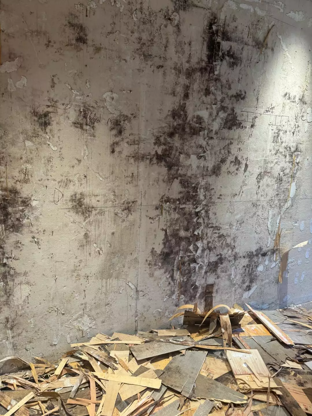 当我买了样板间后，才知道样板间的装修为何这么便宜？