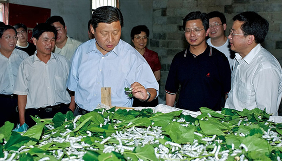 美丽，从这里出发——浙江美丽乡村建设的生动实践