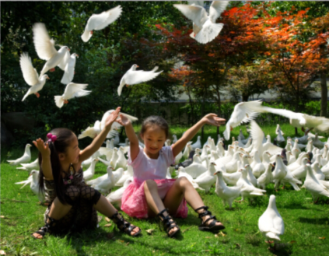 美丽，从这里出发——浙江美丽乡村建设的生动实践