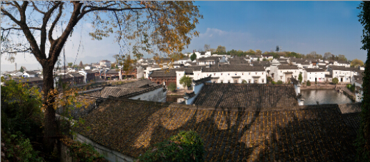 美丽，从这里出发——浙江美丽乡村建设的生动实践