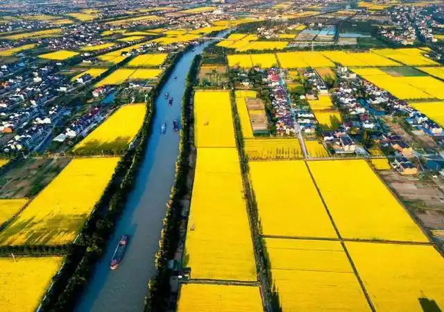 11地入选！2020年度浙江省新时代美丽乡村示范县，有你家乡吗？